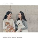 법무법인청음