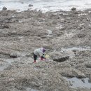 승봉도 캠핑장 이미지