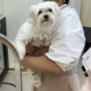 뷰티몽 이미지