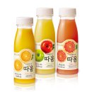 빙그레인력 헤럴드경제
