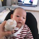 포트뷰 이미지