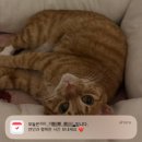 씨유인천오류힐스테이트점 | 25년도 7월의 2/2