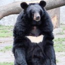 웅담농장 이미지