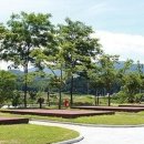 수목화 송정마을 오토캠핑장 이미지