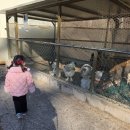 호명나루165풀빌라 이미지