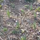 용우외가농장 이미지