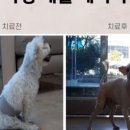 부안동물병원 이미지