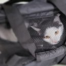 동물병원 Dr.정 이미지