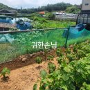 귀한손님공인중개사사무소 이미지