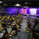 세진휘트니스 이미지