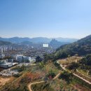 씨티부동산중개사무소 이미지