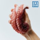 문어가 - 양산시 양산역3길 6 | 문어가