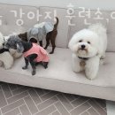 논현로10길(국악길) 이미지