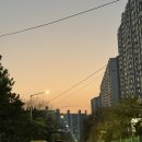 두송중학교 | 이백사십한번째 돼낑, 스시투어다대점(feat. 프리미엄회전초밥맛집)