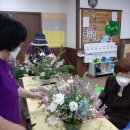 힐링꽃꽂이 이미지