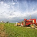 천식농장 이미지