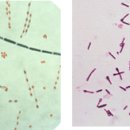 [BRIC] BioTalk_공감 (14) 변화의 시작 이미지