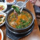 지행염소탕