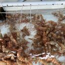 독도회식당 이미지