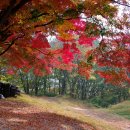 우리나라 명산의 가을 단풍 이미지