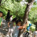 보림유치원 이미지