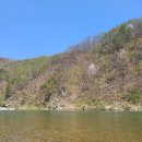 광판팔뚝김밥 이미지