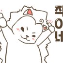 스마트티아모 네이버블로그