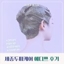 세종마을A | 세종 두피 관리 에디쁘 괄사와 아로마 케어 솔직후기