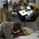 피움동물병원 이미지