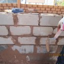 나무와흙 이미지