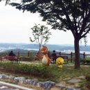 남선면행정복지센터 이미지