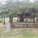 주촌농장 이미지