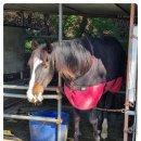 유촌농장 이미지