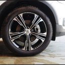 서하늬 카카오 검색결과