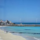 타코in카페동구점 | 제주 월정리 오션뷰 맛집 월정타코마씸, 흑돼지타코 3가지 맛 비교 솔직후기