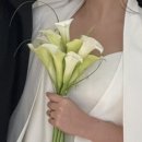 영신화원 이미지