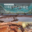 고성자연사박물관 | 서울 실내 가볼만한곳 6세 아이와 서대문자연사박물관