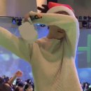 퍼피온리 | 새해복인사의종말(26.03.01- 03)