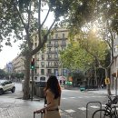 [행복한학교]일본도시여행(오사카편)-아무도 알려주지 않았던 도시전설 | 첫 유럽 여행