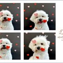 아이멍그라운드 이미지