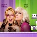 커티스몰