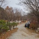 넓직한 공간, 단풍이 아름다운 리스캐빈 캠핑장 후기