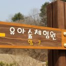 화백나무 유아숲체험원 이미지