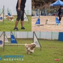 학력인정예일미용고등학교