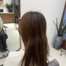 나비헤어 | 산본역 미용실 나비헤어｜숱 적은머리 풍성하게! 디자인커트 후기