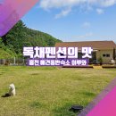 홍천산골놀이터 | [강원도 홍천 애견동반 숙소_이루와] 독채펜션 갈 때 놓치지 말아야 할 것?