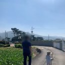 준상농장 | 양산 대형베이커리카페 무타블랑 솔직후기