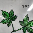 구례중앙초등학교 이미지