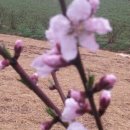 태수네농장 이미지