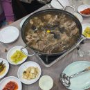 송죽마을 | 국물이 정말 진하고 깊은 능이약오리백숙 맛집 '송죽토종마을'